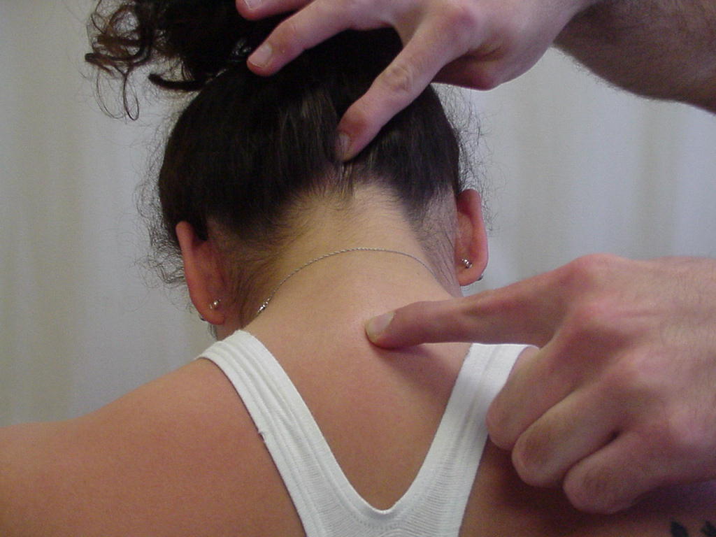 How To Do A Bun At The Base Of The Neck | hairstylegalleries.com