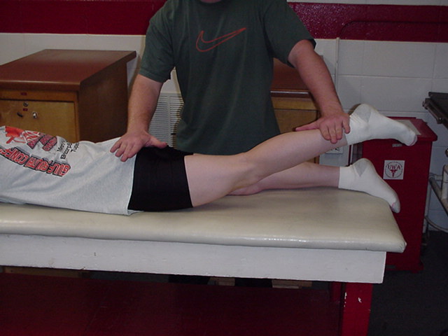 The action of the hamstring muscles is: a. flexion of the knee and  extension of the hip. b. flexion of the hip and knee. c. extension of the  knee and flexion of