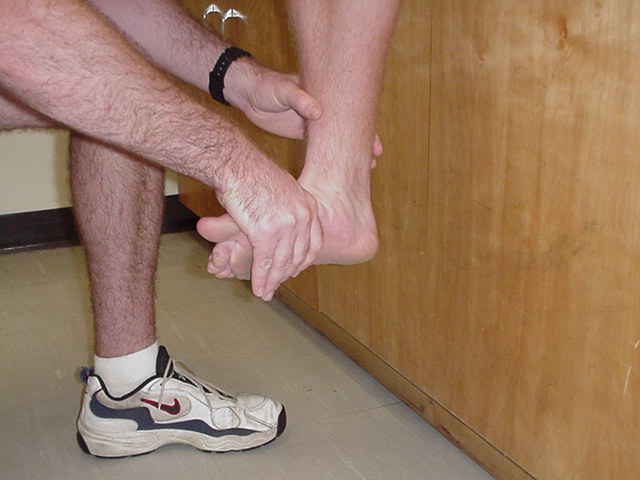 Manual Muscle Testing of the Talocrural