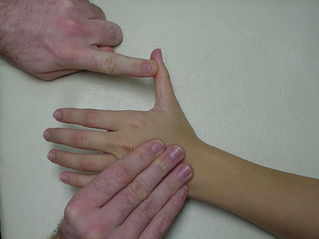 Manual Muscle Testing of the Thumb