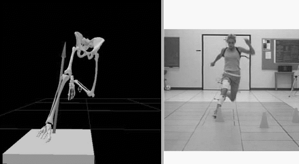 Figure 1: Motion Capture Model and Data Collection Picture